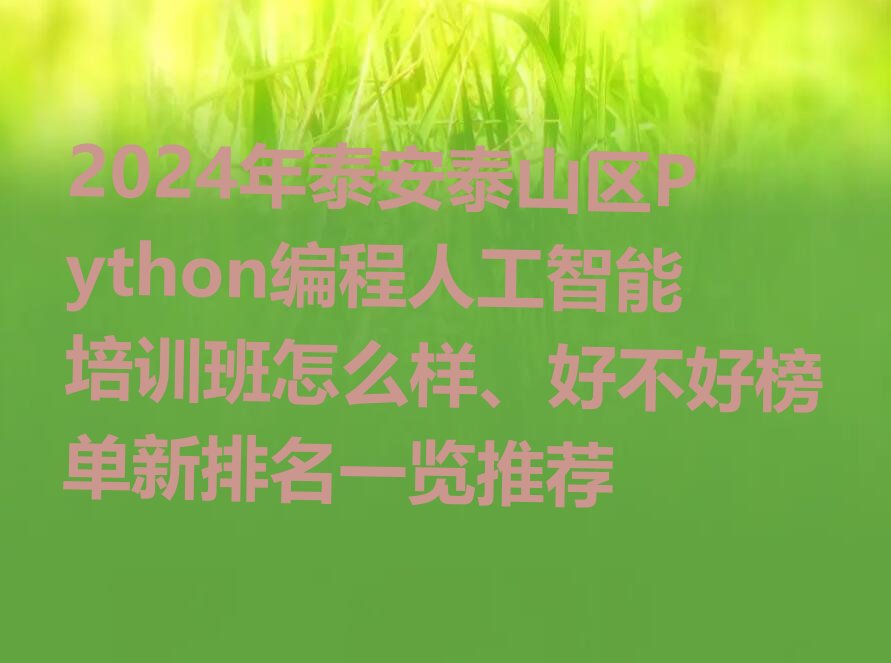 十大2024年泰安泰山区Python编程人工智能培训班怎么样、好不好榜单新排名一览推荐排行榜