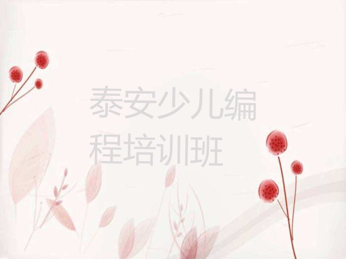 泰安少儿编程培训班