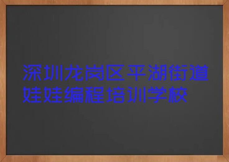 深圳龙岗区平湖街道娃娃编程培训学校