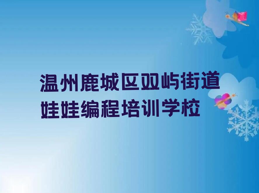 温州鹿城区双屿街道娃娃编程培训学校