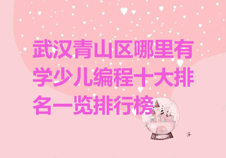 武汉少儿编程培训中心
