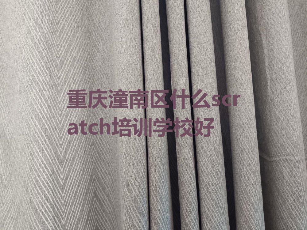 十大重庆潼南区什么scratch培训学校好排行榜