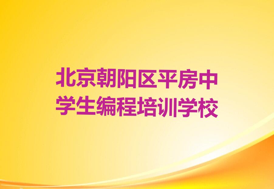 中学生编程
