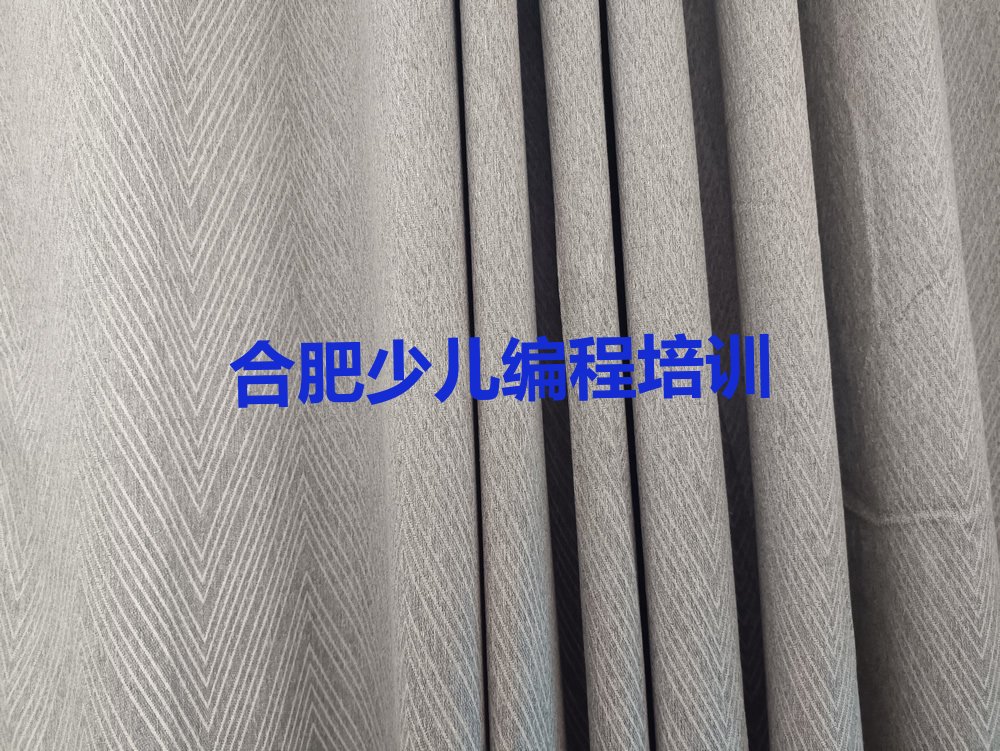 合肥包河区少儿编程培训学校