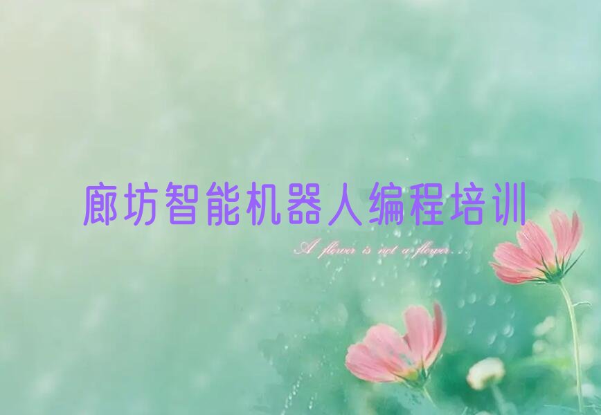 廊坊少儿编程培训