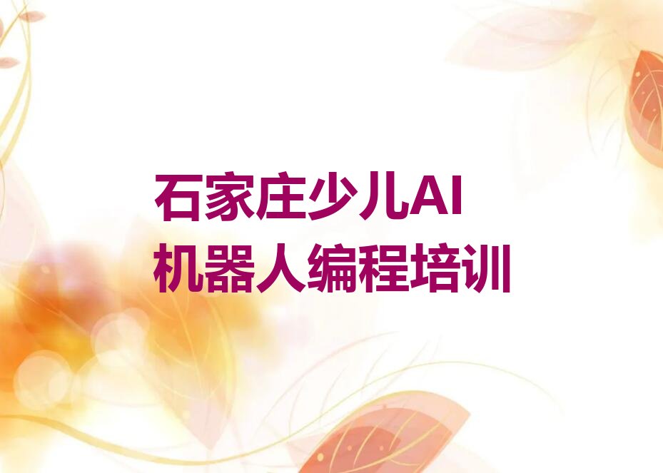 石家庄新华区少儿AI机器人编程培训学校