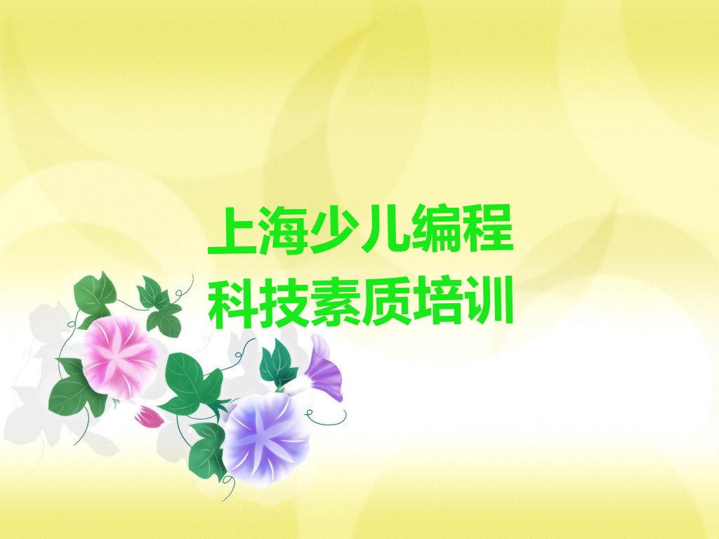 上海少儿编程培训学校