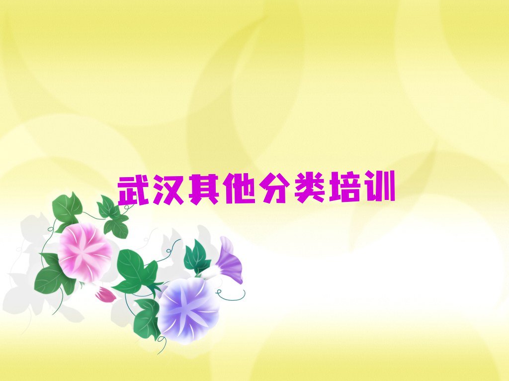 十大武汉10强少儿无人机大赛机构排名排行榜