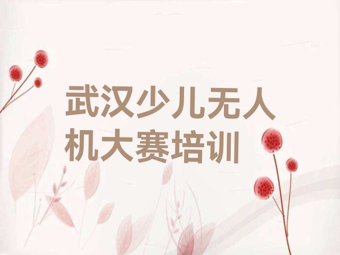 武汉汉阳区四新街道少儿编程培训学校