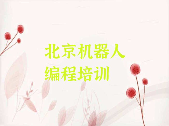 北京东城区少儿编程培训中心