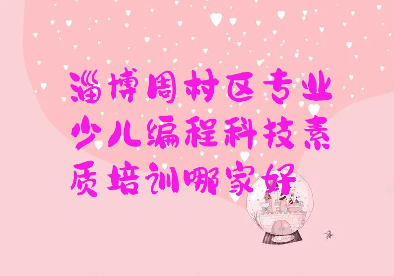 淄博周村区少儿编程科技素质培训学校