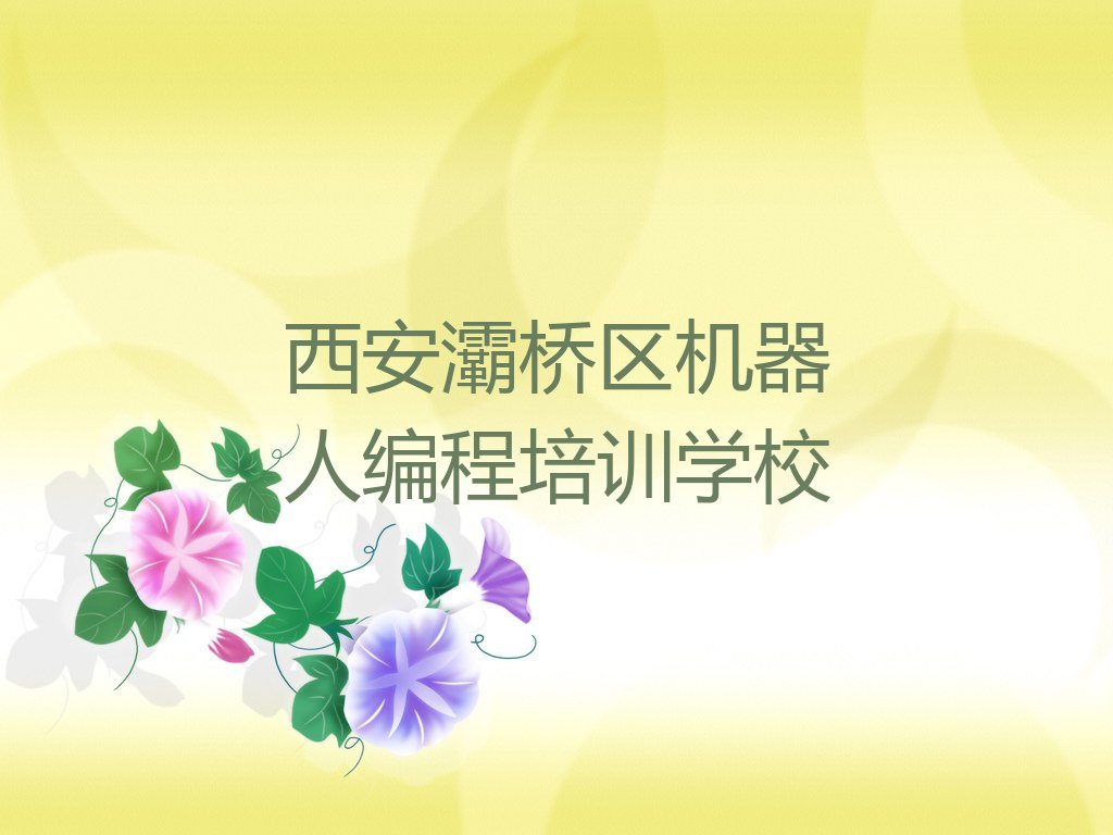 西安灞桥区机器人编程培训学校