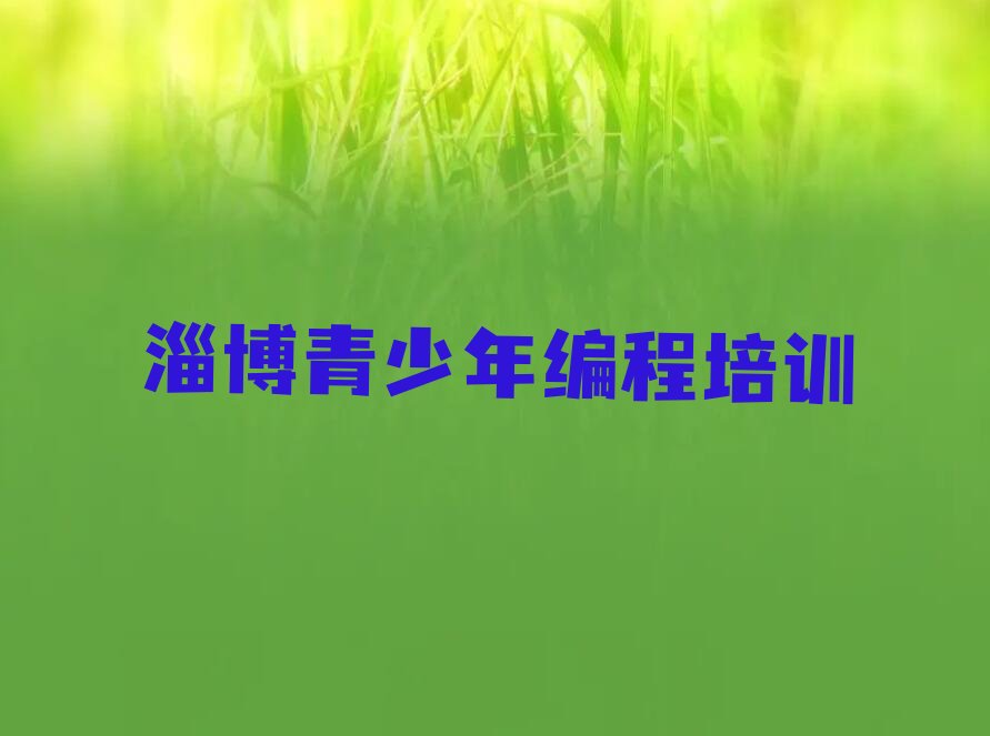 十大2024年前十名淄博青少年编程培训机构排行榜排行榜