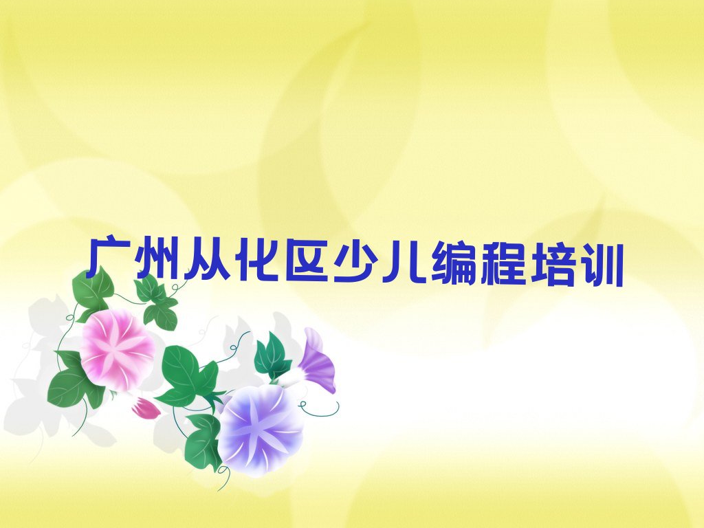 广州从化区少儿编程培训