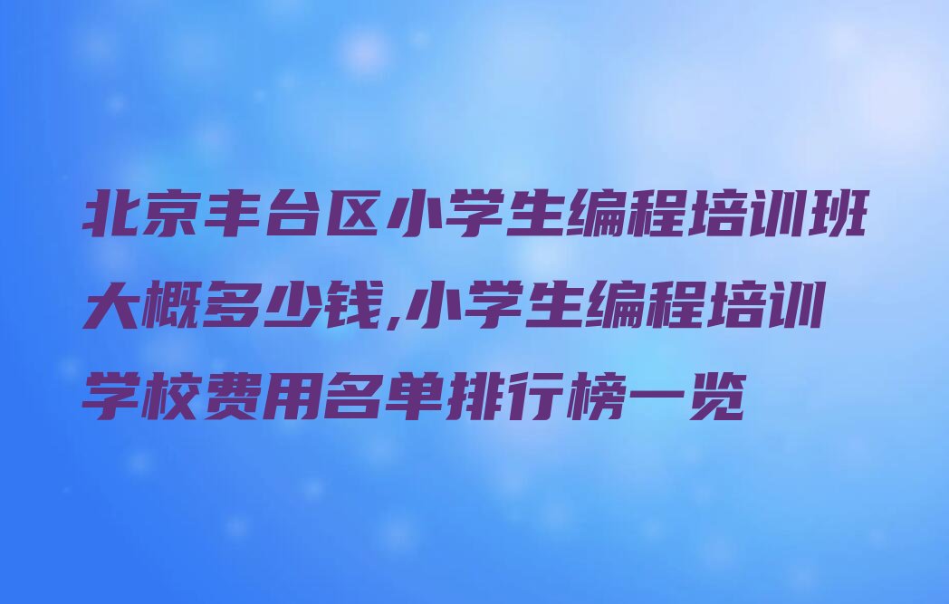 小学生编程