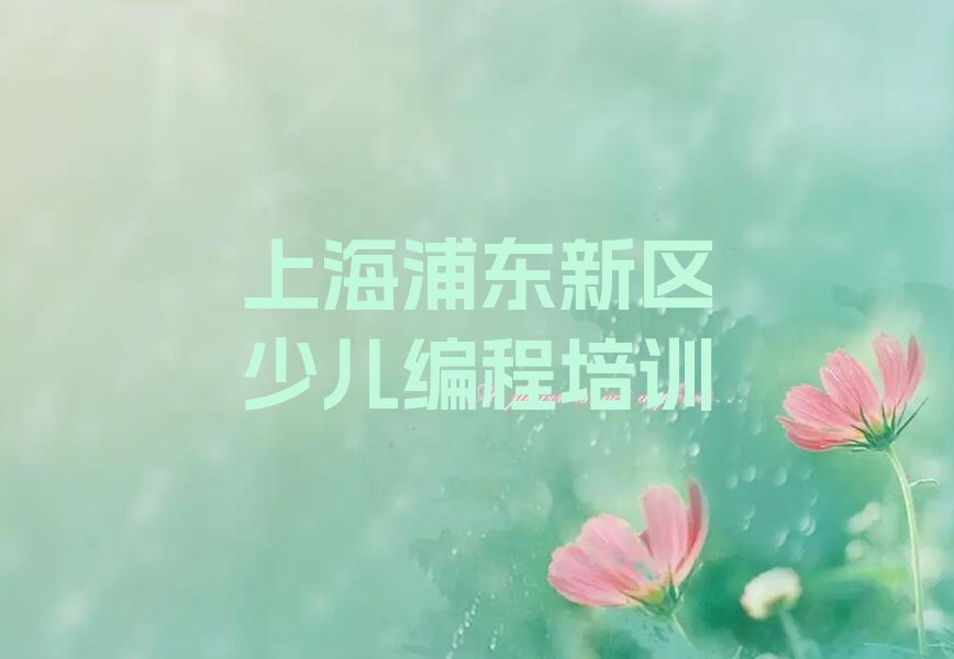 上海浦东新区少儿编程培训