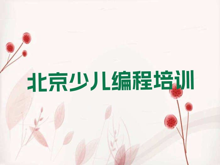 北京少儿编程培训学校