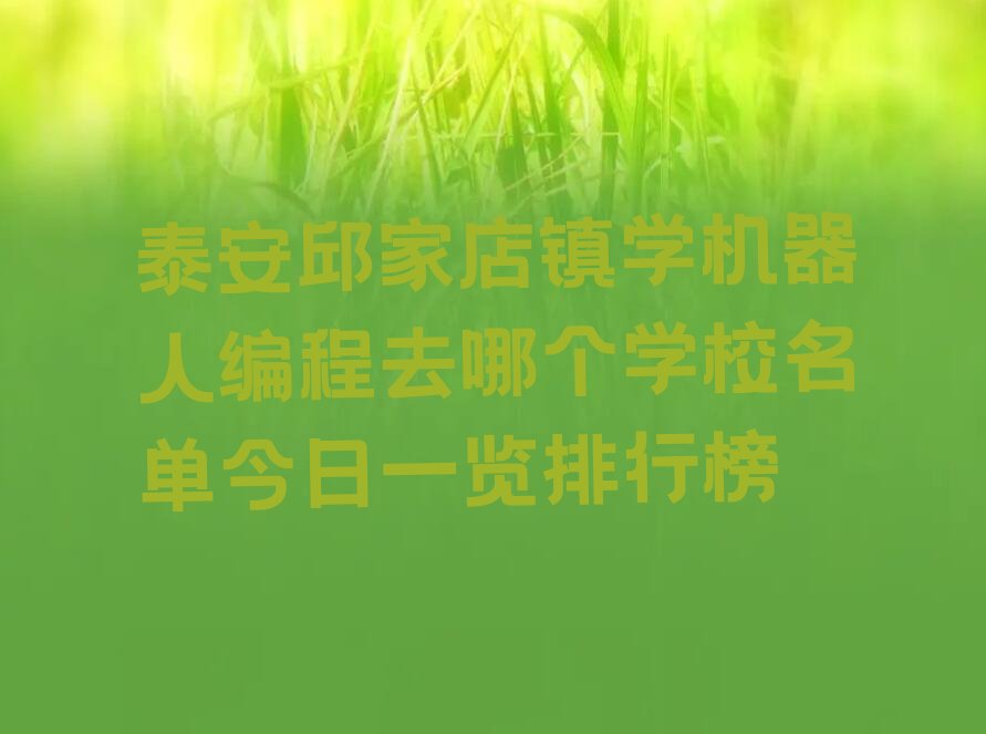 泰安机器人编程培训学校
