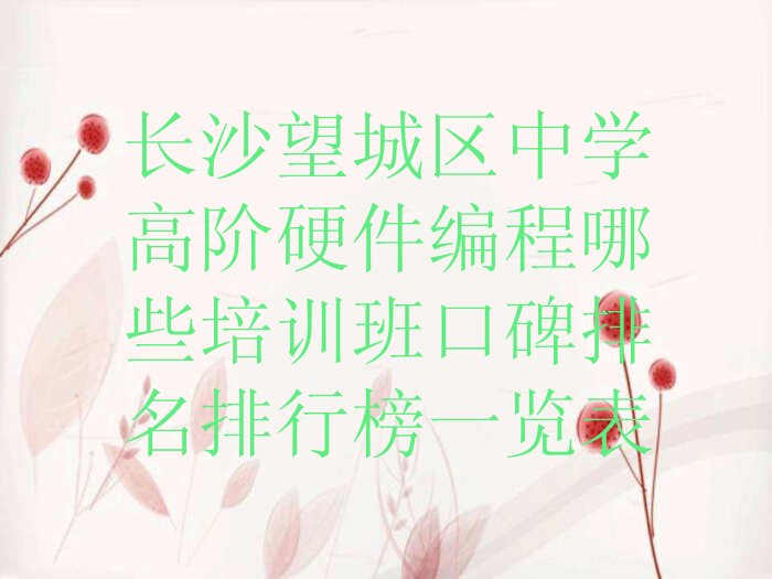 十大长沙望城区中学高阶硬件编程哪些培训班口碑排名排行榜一览表排行榜