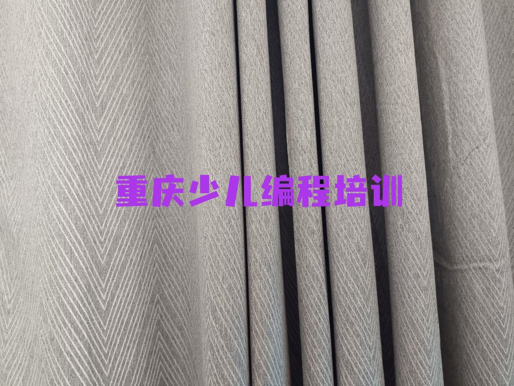 重庆荣昌区青少年编程培训学校