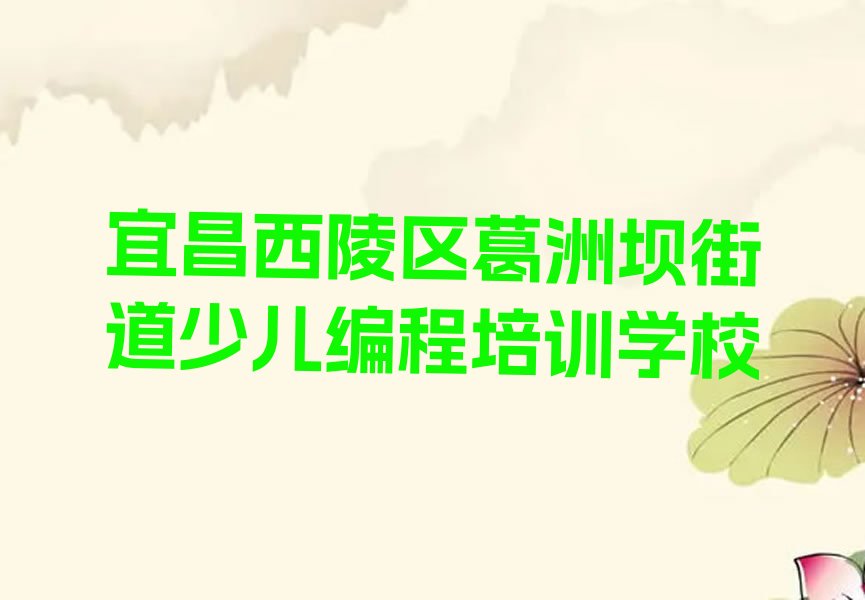 宜昌西陵区葛洲坝街道少儿编程培训学校