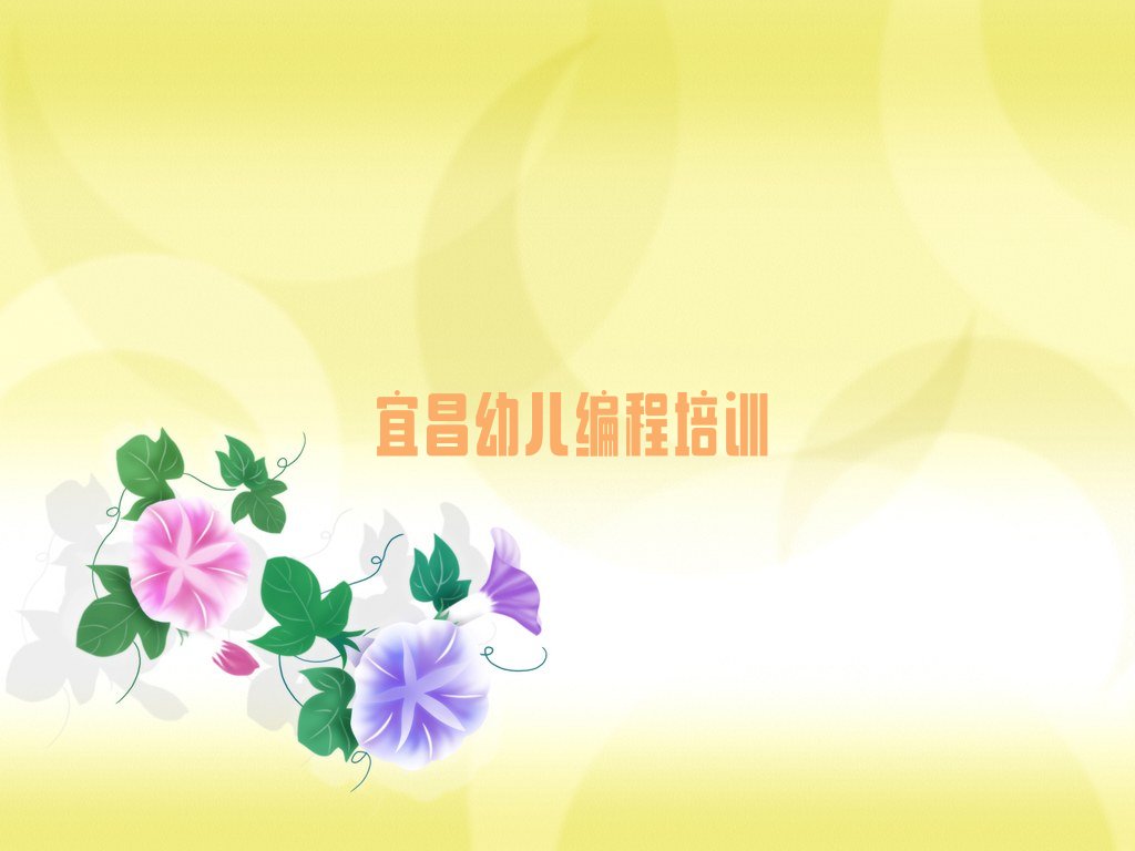 宜昌西陵区葛洲坝街道少儿编程培训学校