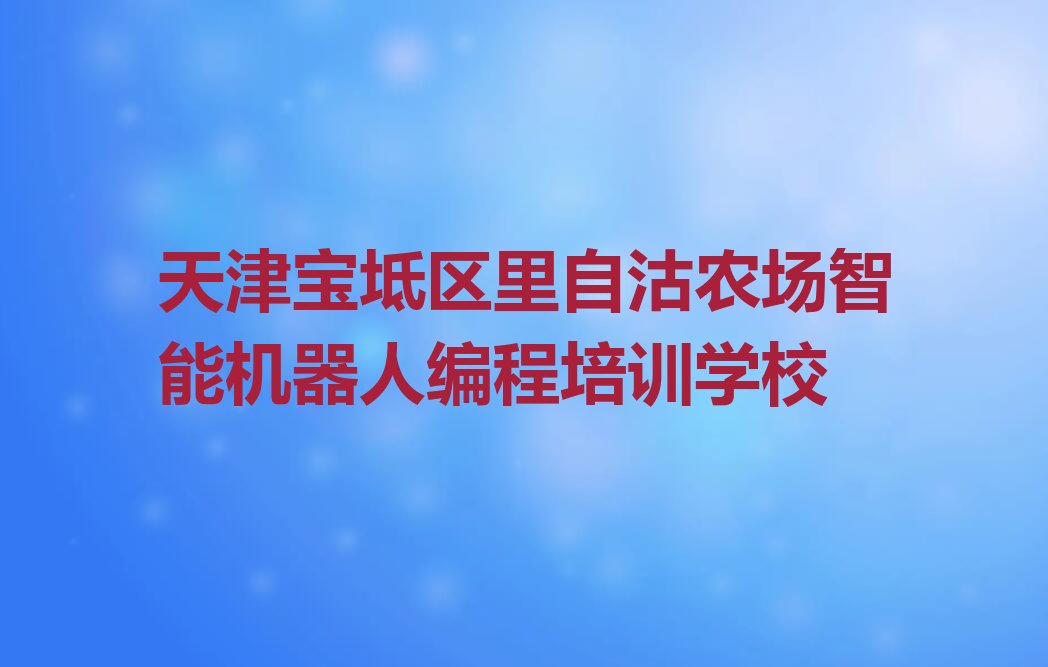 天津宝坻区里自沽农场智能机器人编程培训学校