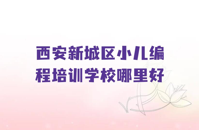 西安新城区韩森寨街道小儿编程培训学校