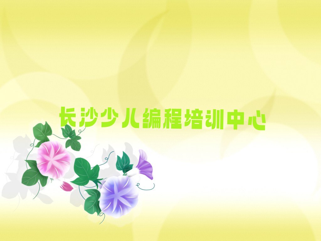 长沙少儿编程培训中心