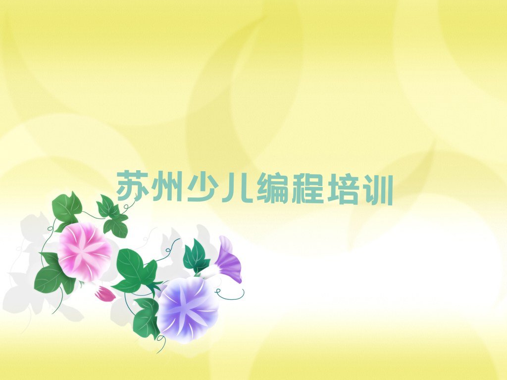 苏州相城区北桥街道信息学奥赛编程培训学校