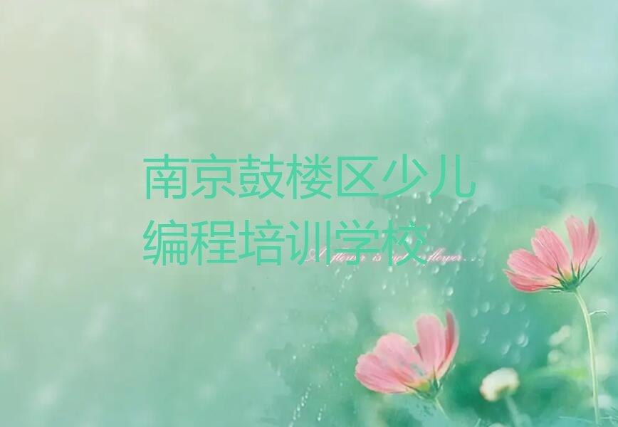 南京鼓楼区少儿编程培训学校