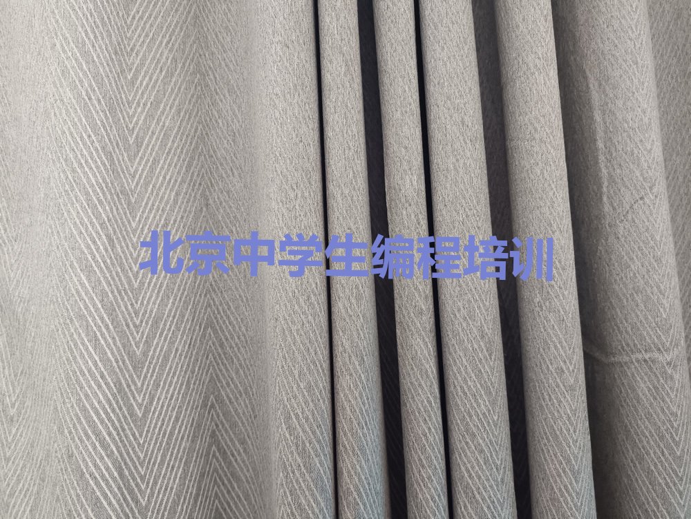 北京少儿编程培训中心