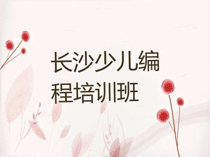 长沙少儿编程培训班