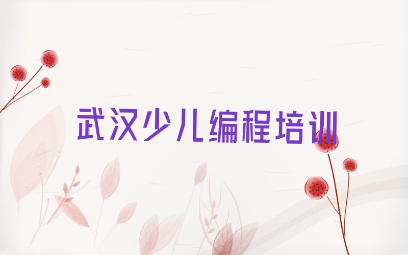 武汉江夏区武汉江夏经济开发区金港汽车产业园少儿编程培训学校