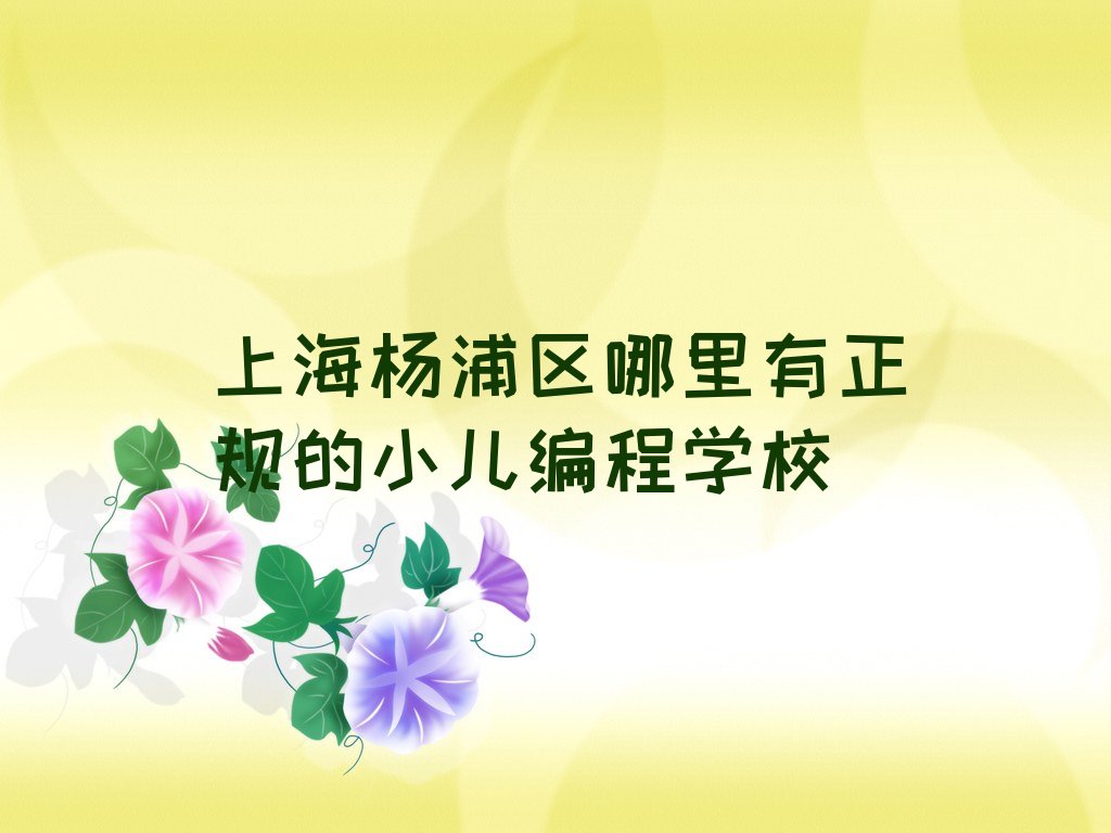 十大上海杨浦区哪里有正规的小儿编程学校排行榜