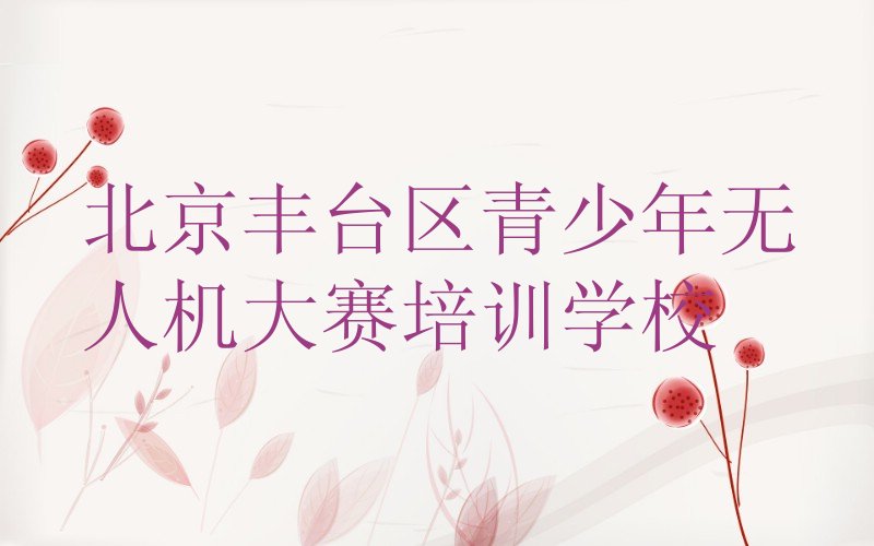 北京丰台区青少年无人机大赛培训学校