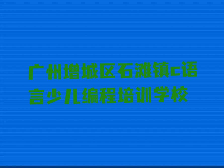 广州增城区石滩镇c语言少儿编程培训学校