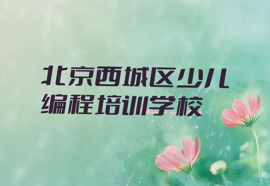 北京西城区少儿编程培训学校