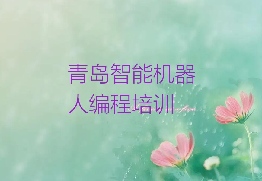 青岛市北区智能机器人编程培训学校