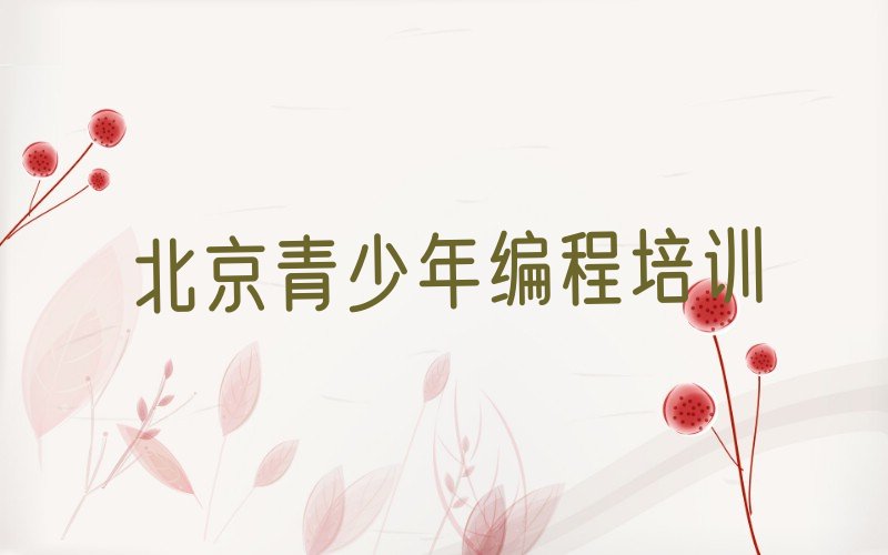 北京少儿编程培训