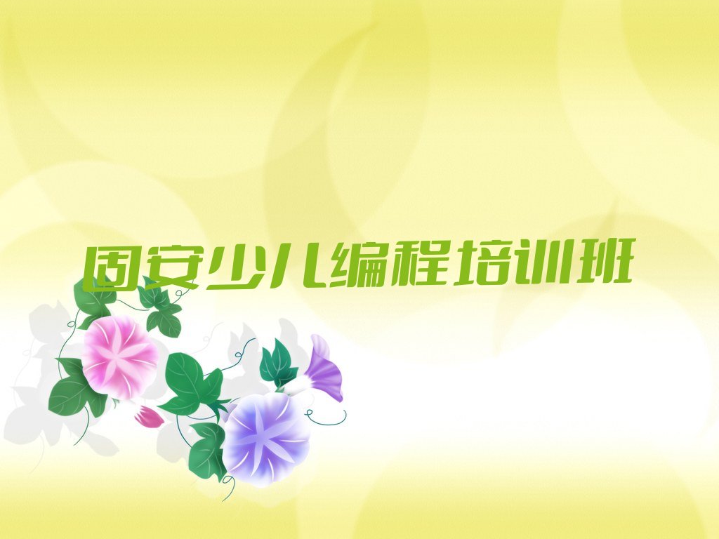 固安少儿编程培训班