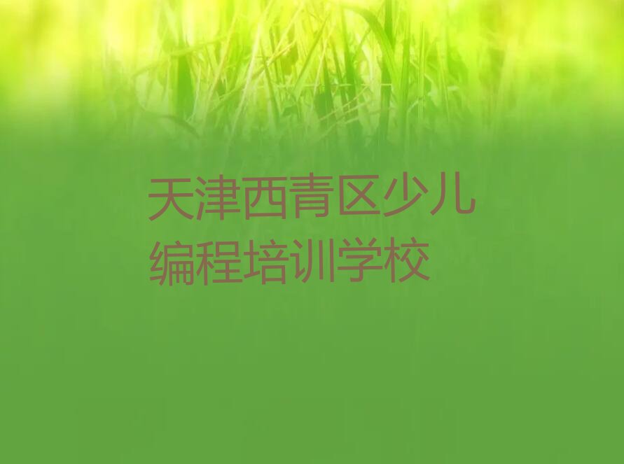 天津西青区少儿编程培训学校
