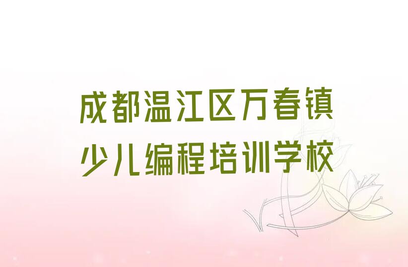 成都温江区万春镇少儿编程培训学校