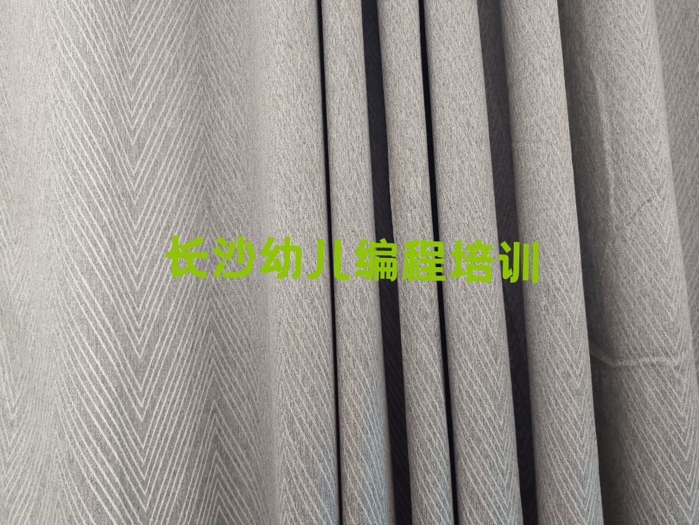 长沙芙蓉区荷花园少儿编程培训学校