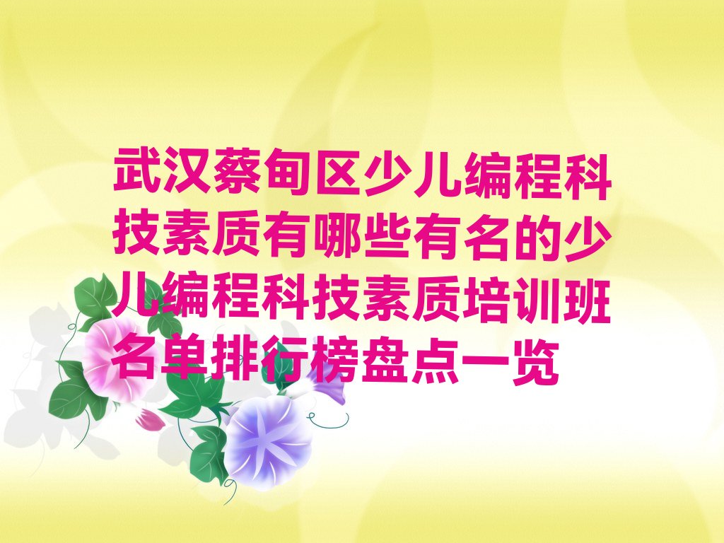 武汉少儿编程培训班