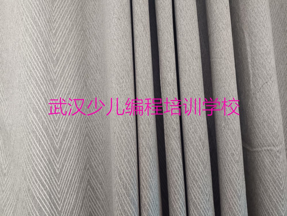 十大2024年武汉学小学生编程比较好的学校名单精选一览排行榜排行榜