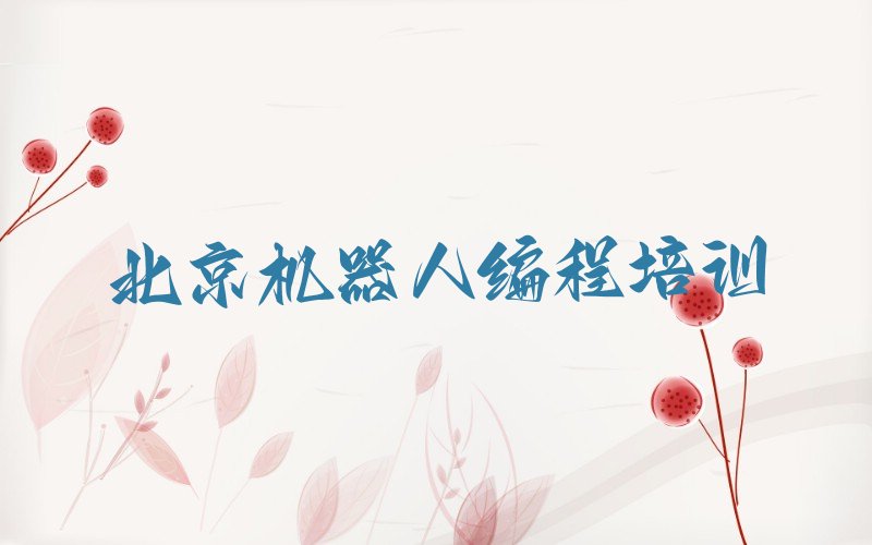 北京大兴区观音寺街道少儿编程培训学校