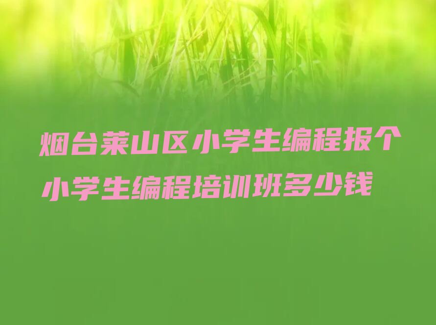 烟台莱山区少儿编程培训学校