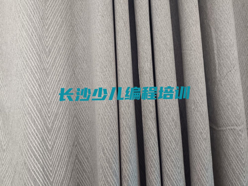十大长沙雨花区小儿编程培训学校哪里好排行榜