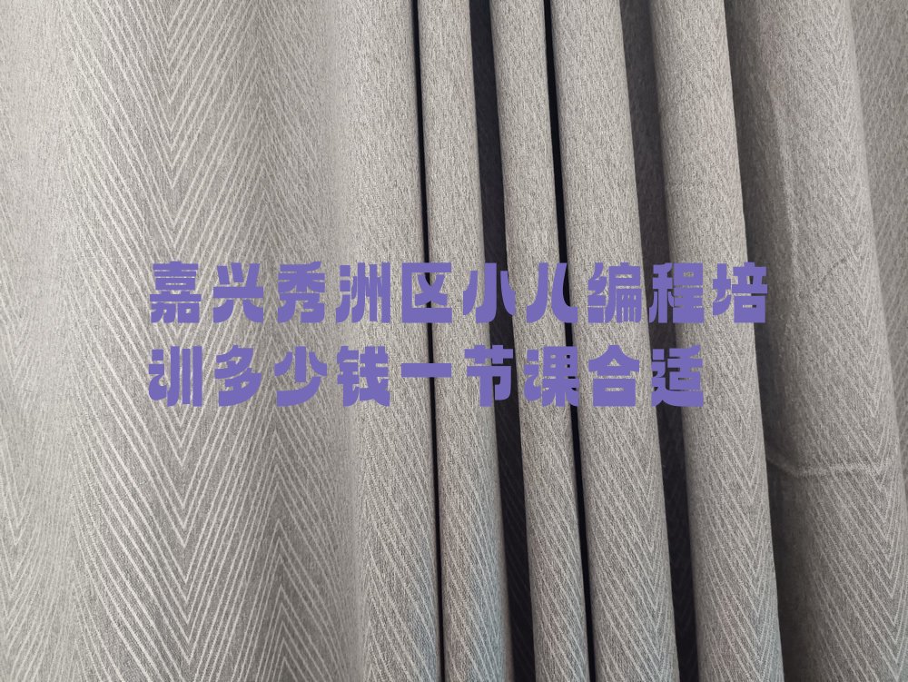 嘉兴秀洲区小儿编程培训学校